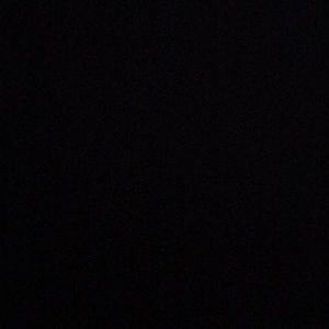 Meet your Posher, Annika